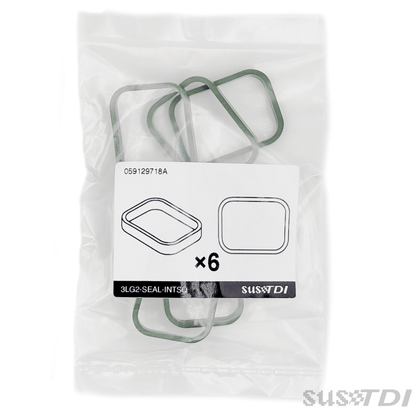 Gen2 Intake Manifold Squircle Seal 059129717N (2013+)